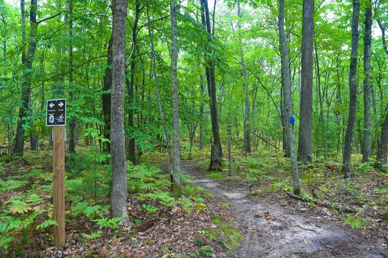 Big M Trails